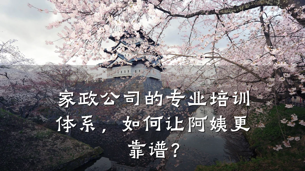 家政公司的专业培训体系,如何让阿姨更靠谱?