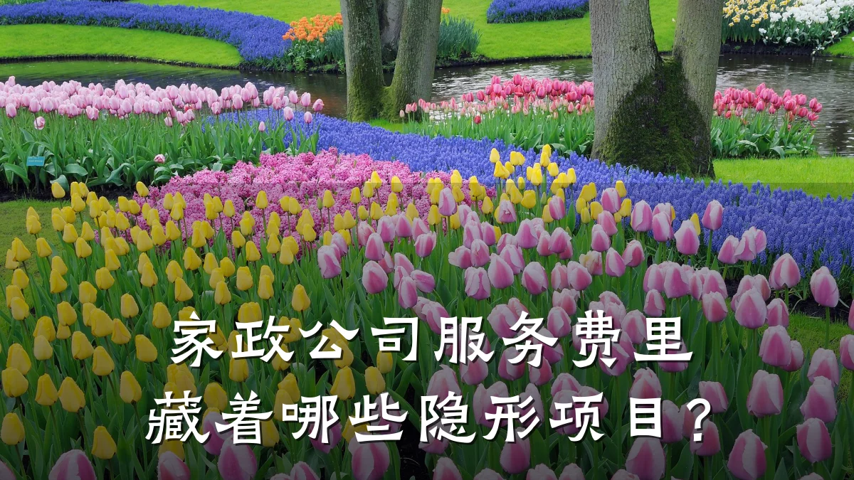 家政公司服务费里藏着哪些隐形项目？