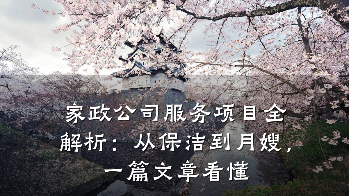 家政公司服务项目全解析：从保洁到月嫂，一篇文章看懂