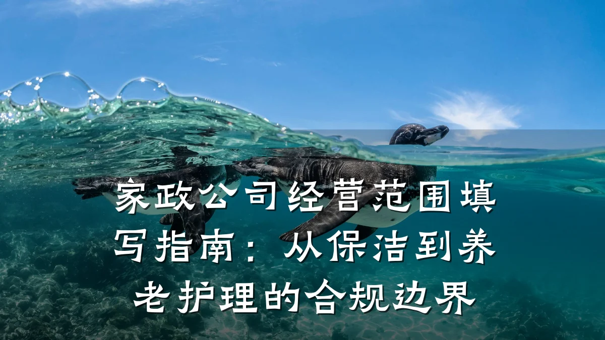 家政公司经营范围填写指南:从保洁到养老护理的合规边界