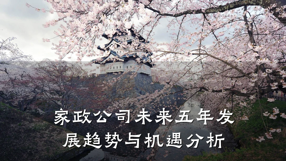 家政公司未来五年发展趋势与机遇分析