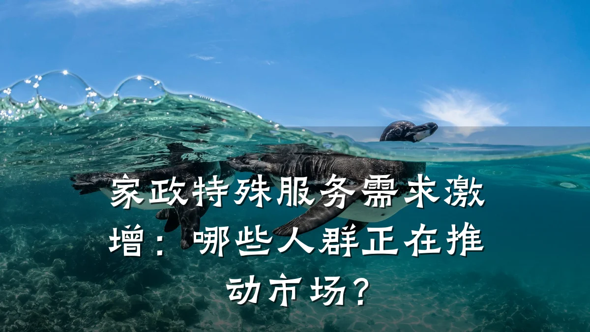 家政特殊服务需求激增：哪些人群正在推动市场？