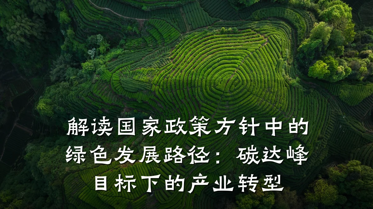 解读国家政策方针中的绿色发展路径:碳达峰目标下的产业转型