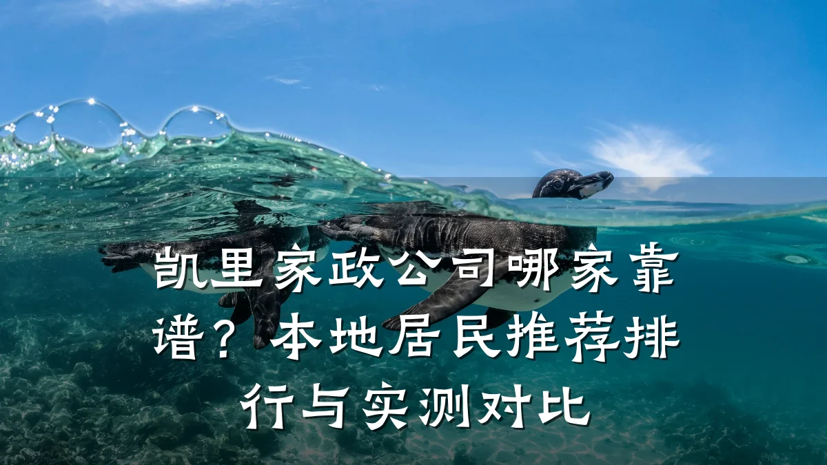 凯里家政公司哪家靠谱？本地居民推荐排行与实测对比