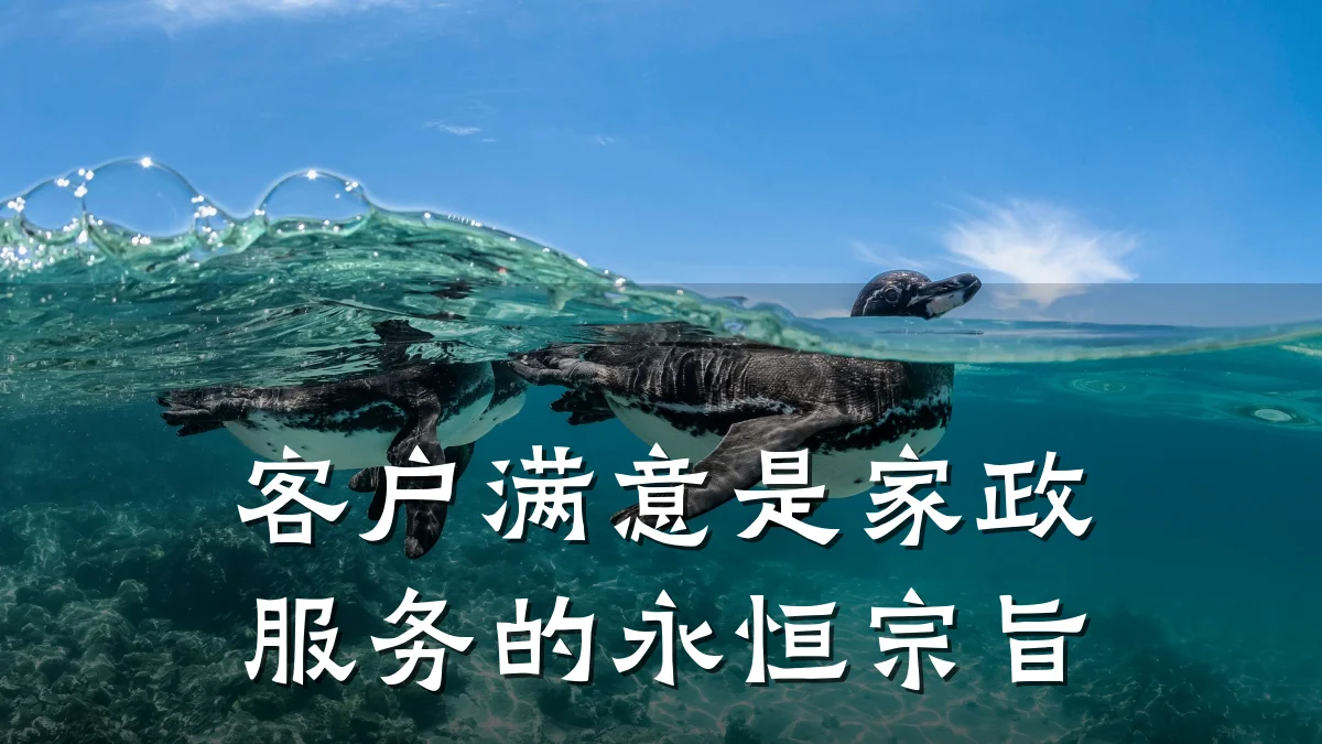 客户满意是家政服务的永恒宗旨