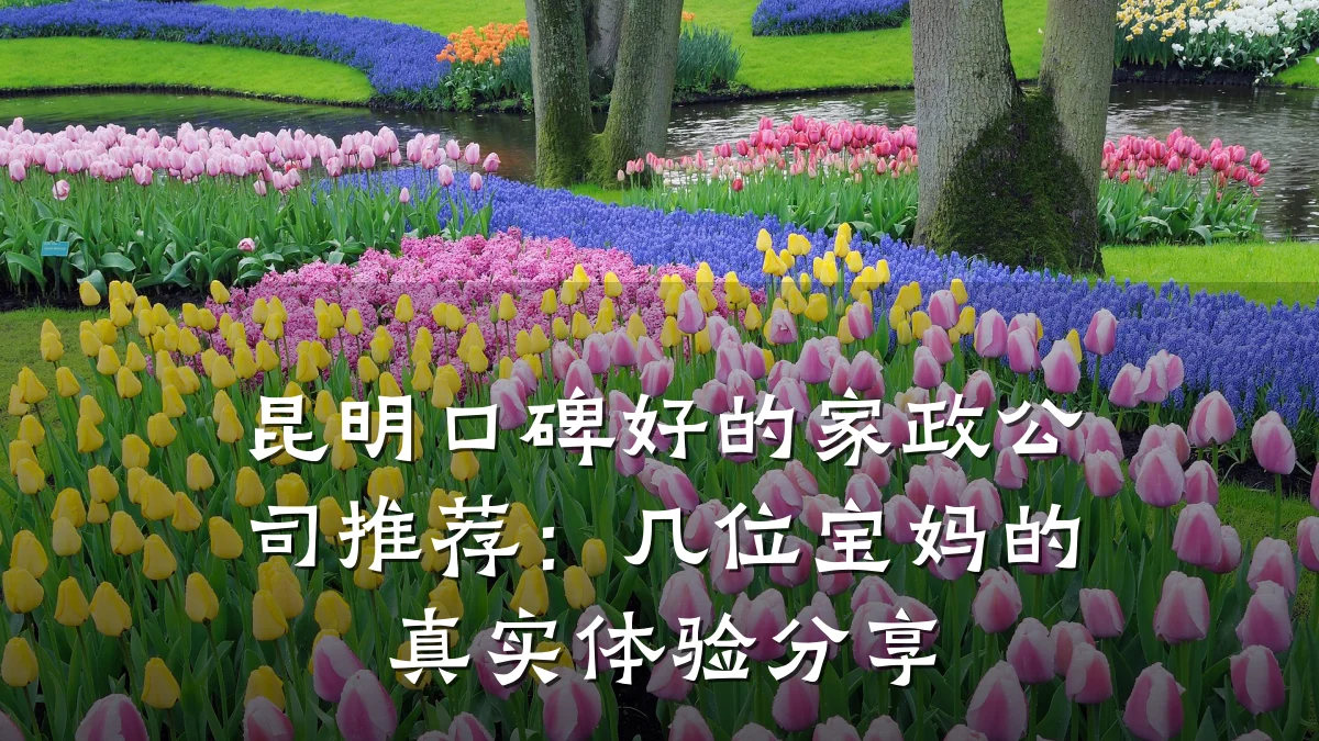 昆明口碑好的家政公司推荐:几位宝妈的真实体验分享