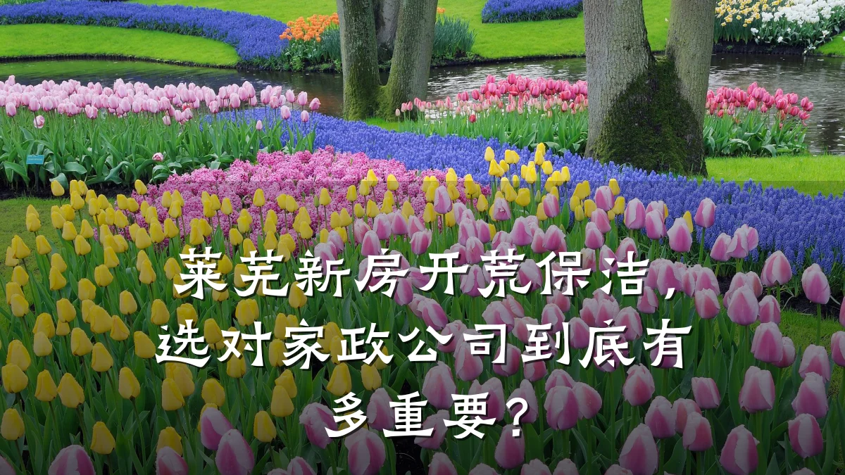 莱芜新房开荒保洁,选对家政公司到底有多重要?