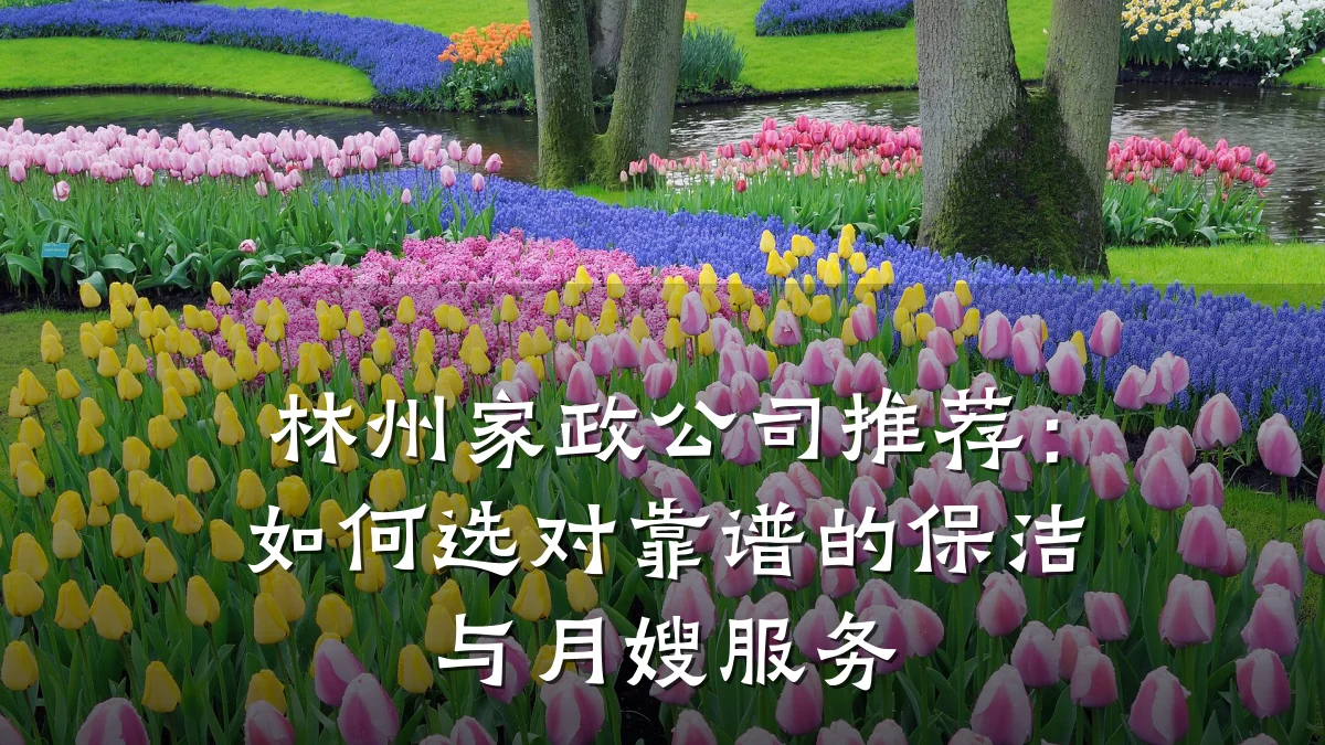 林州家政公司推荐:如何选对靠谱的保洁与月嫂服务