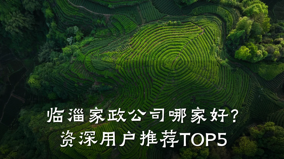 临淄家政公司哪家好?资深用户推荐TOP5
