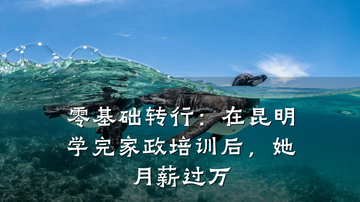 零基础转行:在昆明学完家政培训后,她月薪过万