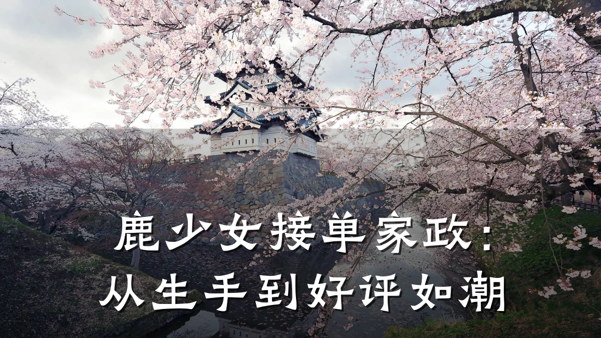 鹿少女接单家政:从生手到好评如潮