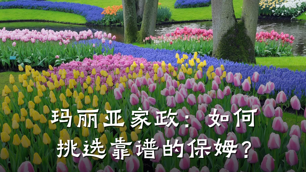 玛丽亚家政:如何挑选靠谱的保姆?