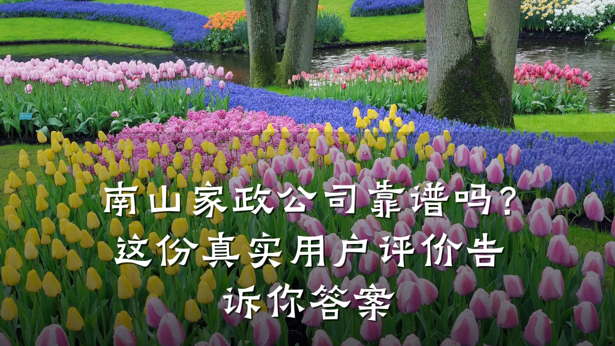 南山家政公司靠谱吗?这份真实用户评价告诉你答案