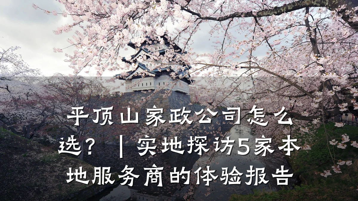 平顶山家政公司怎么选?|实地探访5家本地服务商的体验报告