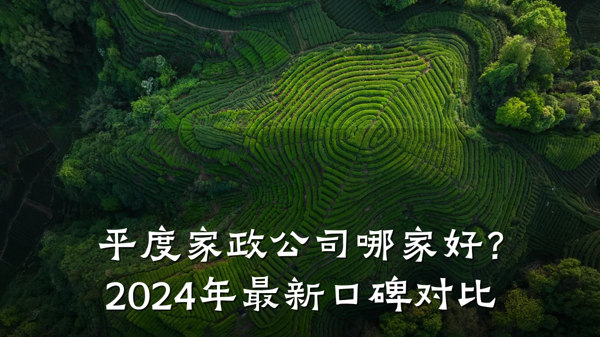 平度家政公司哪家好?2024年最新口碑对比