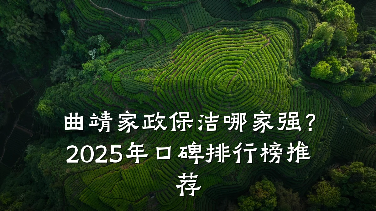 曲靖家政保洁哪家强?2025年口碑排行榜推荐