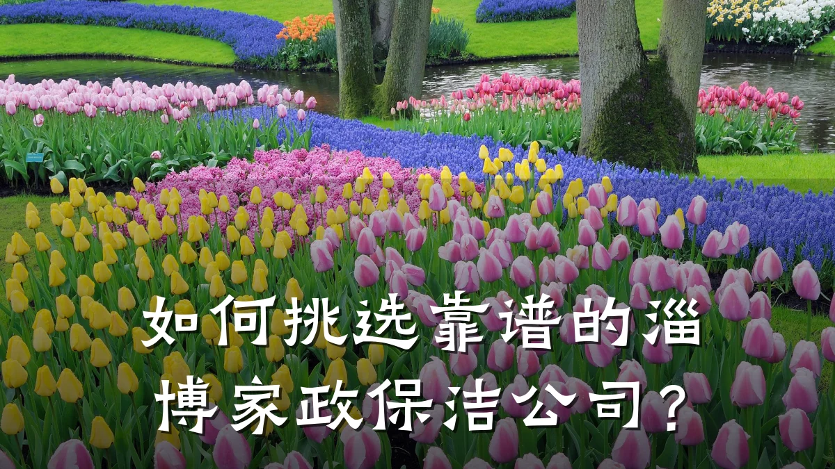 如何挑选靠谱的淄博家政保洁公司?