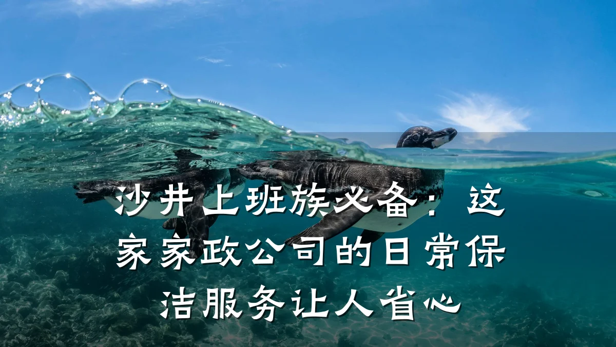 沙井上班族必备：这家家政公司的日常保洁服务让人省心