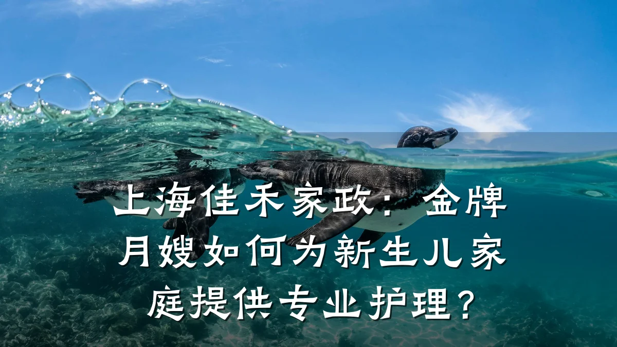 上海佳禾家政:金牌月嫂如何为新生儿家庭提供专业护理?