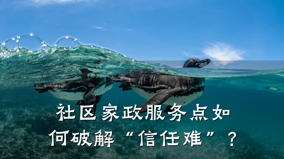 社区家政服务点如何破解“信任难”?