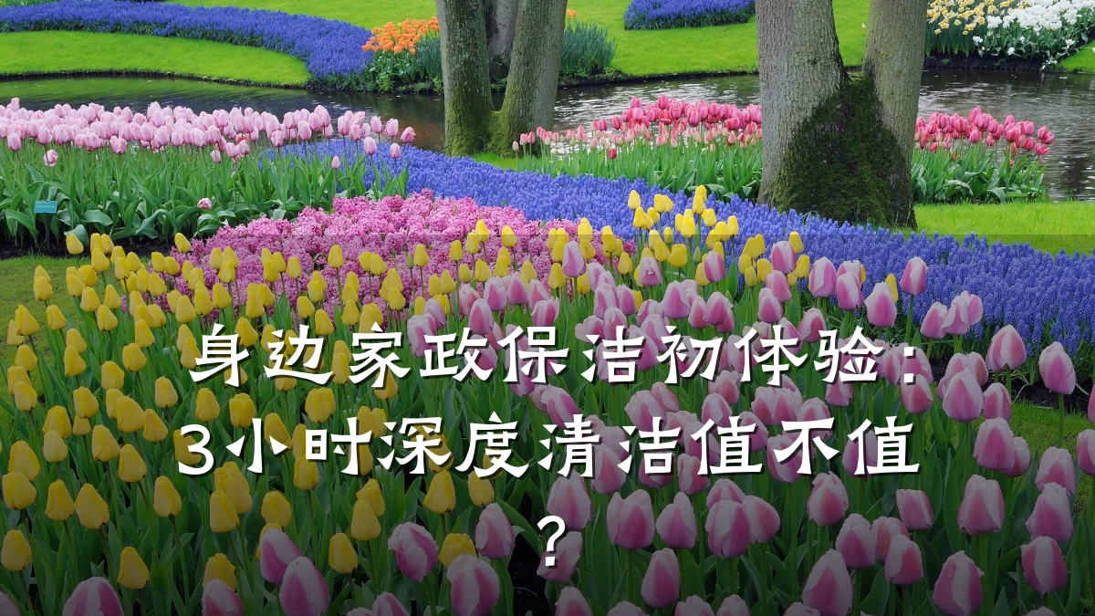 身边家政保洁初体验:3小时深度清洁值不值?