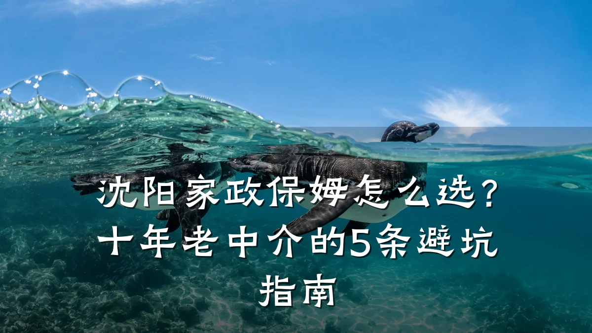 沈阳家政保姆怎么选?十年老中介的5条避坑指南