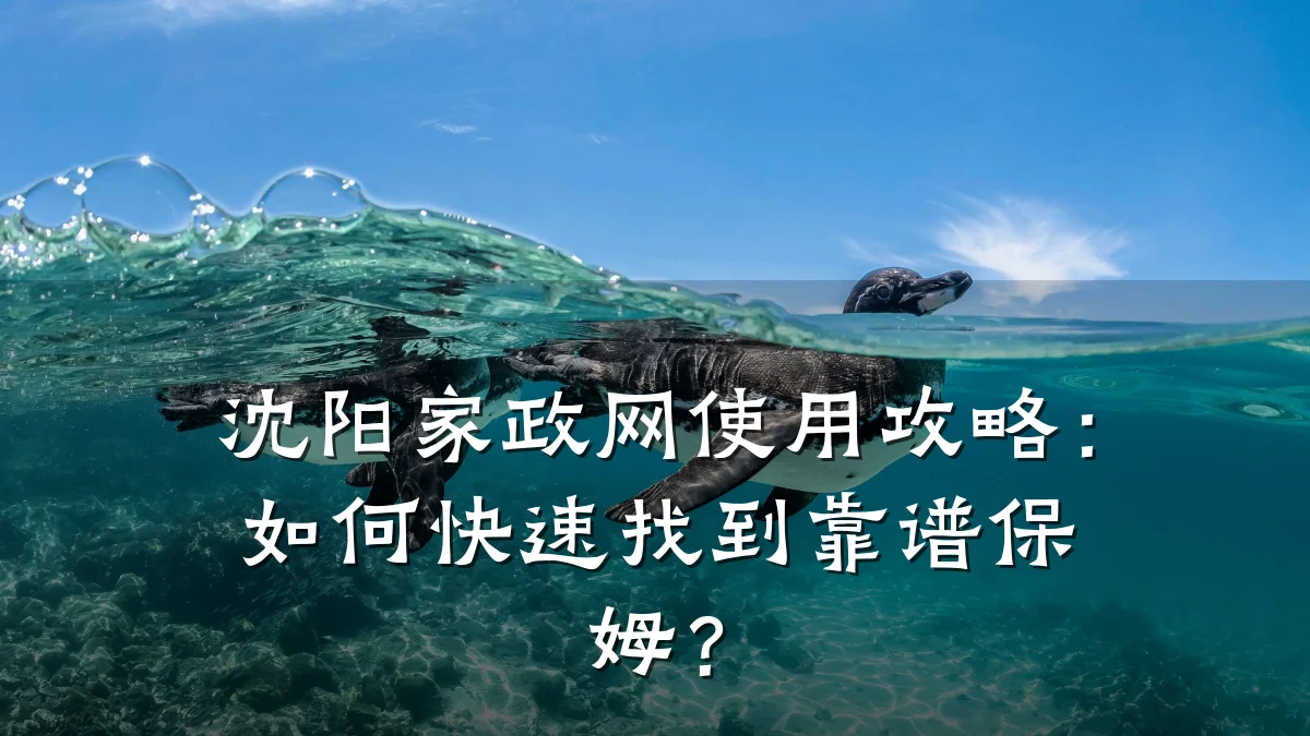 沈阳家政网使用攻略:如何快速找到靠谱保姆?