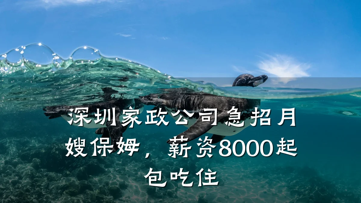 深圳家政公司急招月嫂保姆,薪资8000起包吃住