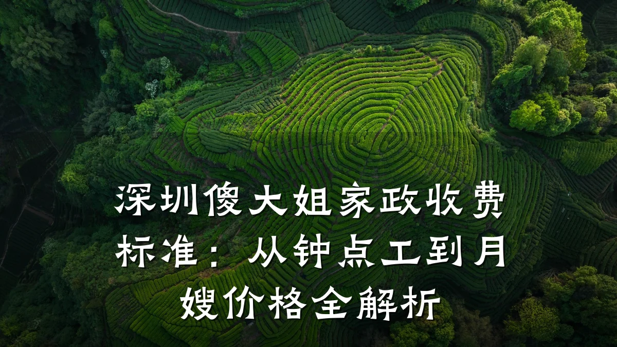深圳傻大姐家政收费标准:从钟点工到月嫂价格全解析