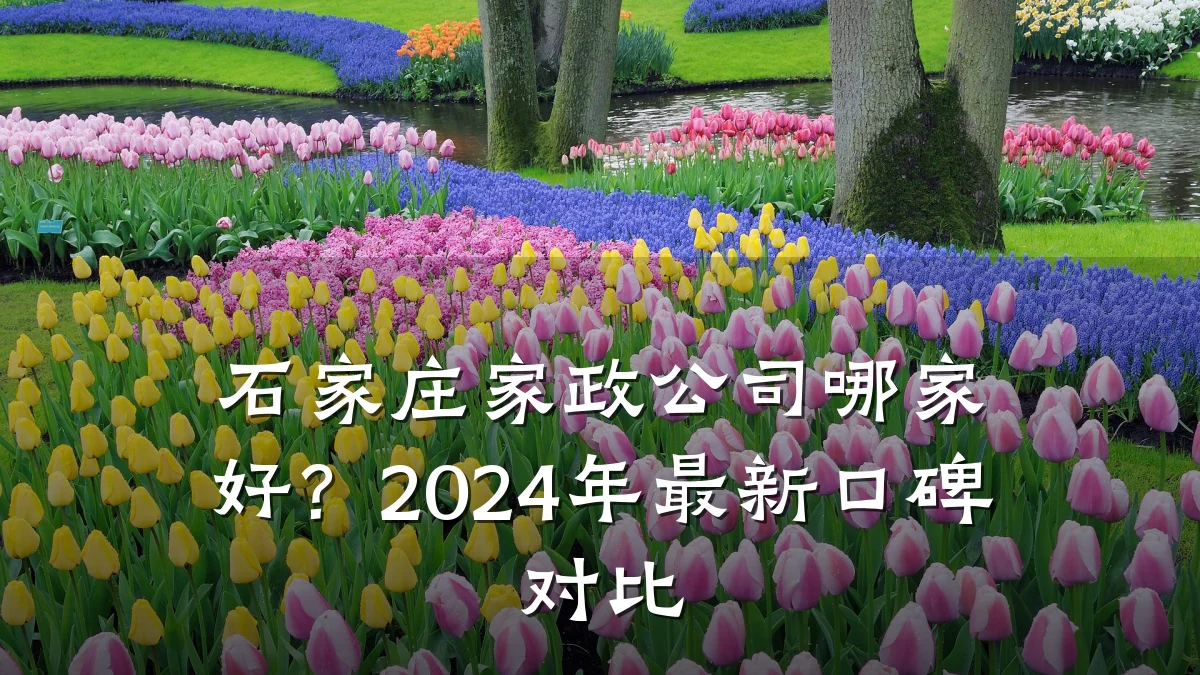 石家庄家政公司哪家好？2024年最新口碑对比