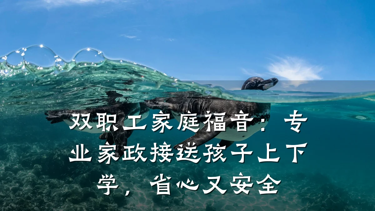 双职工家庭福音:专业家政接送孩子上下学,省心又安全