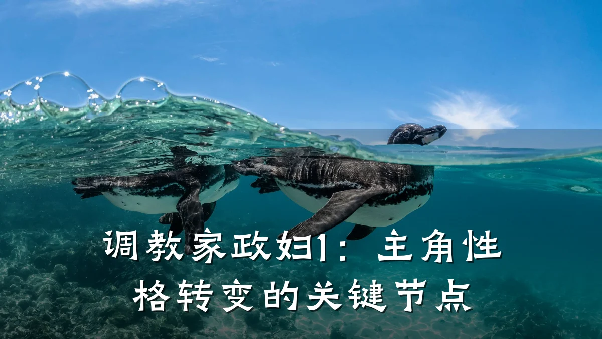 调教家政妇1:主角性格转变的关键节点