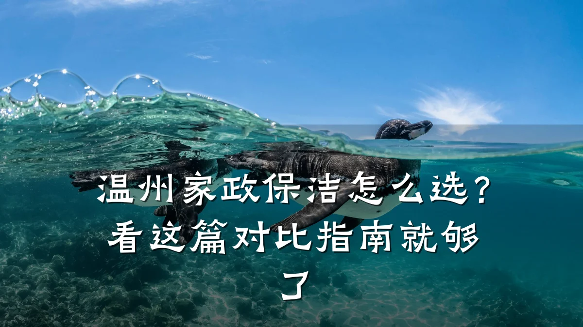 温州家政保洁怎么选?看这篇对比指南就够了