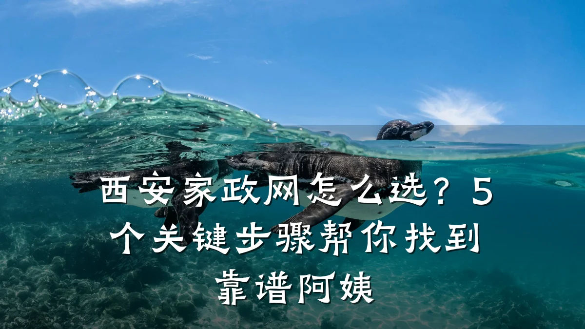 西安家政网怎么选？5个关键步骤帮你找到靠谱阿姨