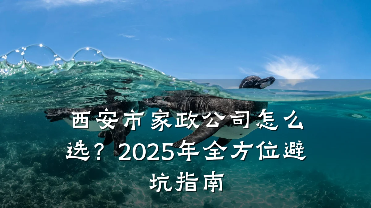 西安市家政公司怎么选?2025年全方位避坑指南