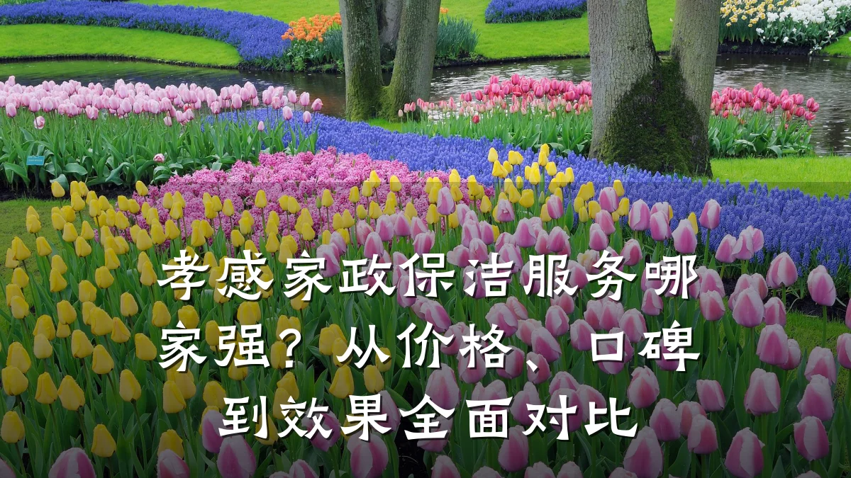 孝感家政保洁服务哪家强?从价格、口碑到效果全面对比