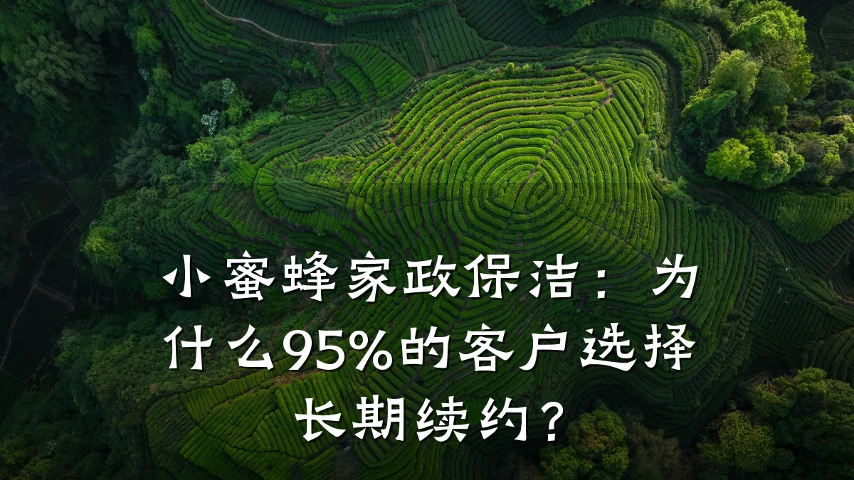 小蜜蜂家政保洁:为什么95%的客户选择长期续约?