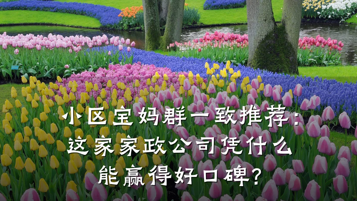 小区宝妈群一致推荐:这家家政公司凭什么能赢得好口碑?