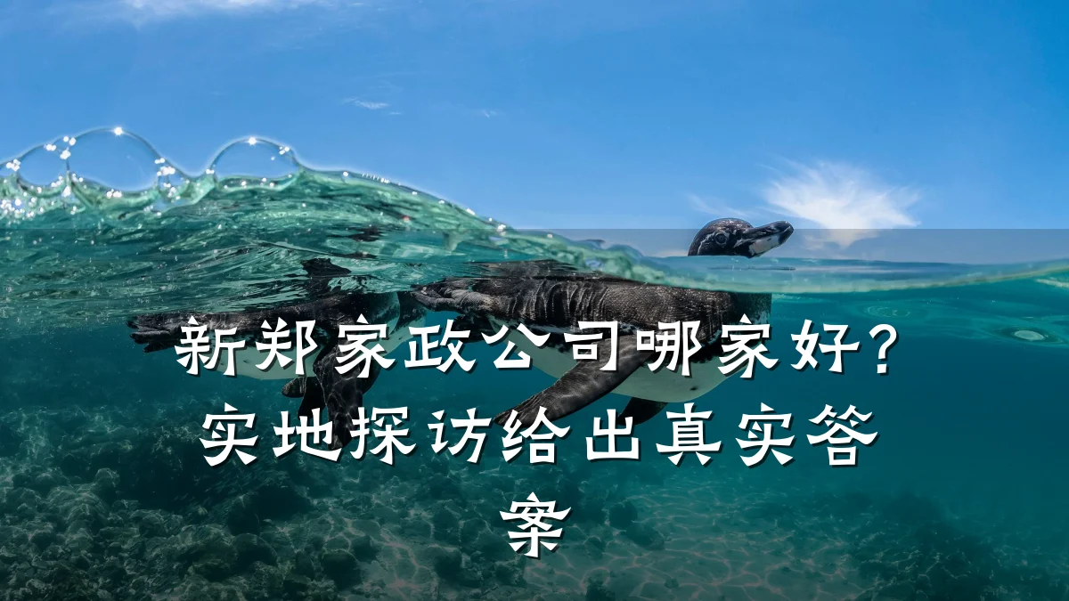新郑家政公司哪家好？实地探访给出真实答案