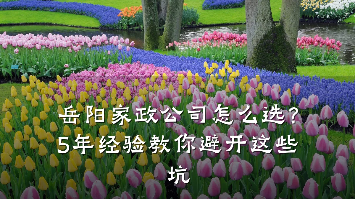 岳阳家政公司怎么选?5年经验教你避开这些坑