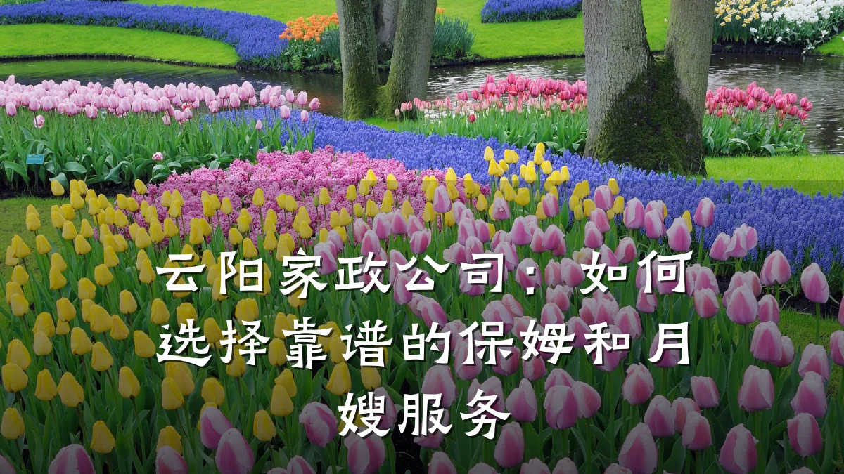 云阳家政公司：如何选择靠谱的保姆和月嫂服务