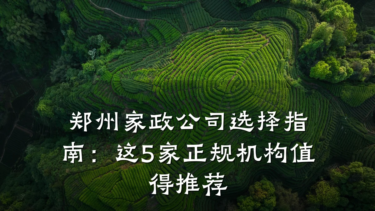 郑州家政公司选择指南：这5家正规机构值得推荐