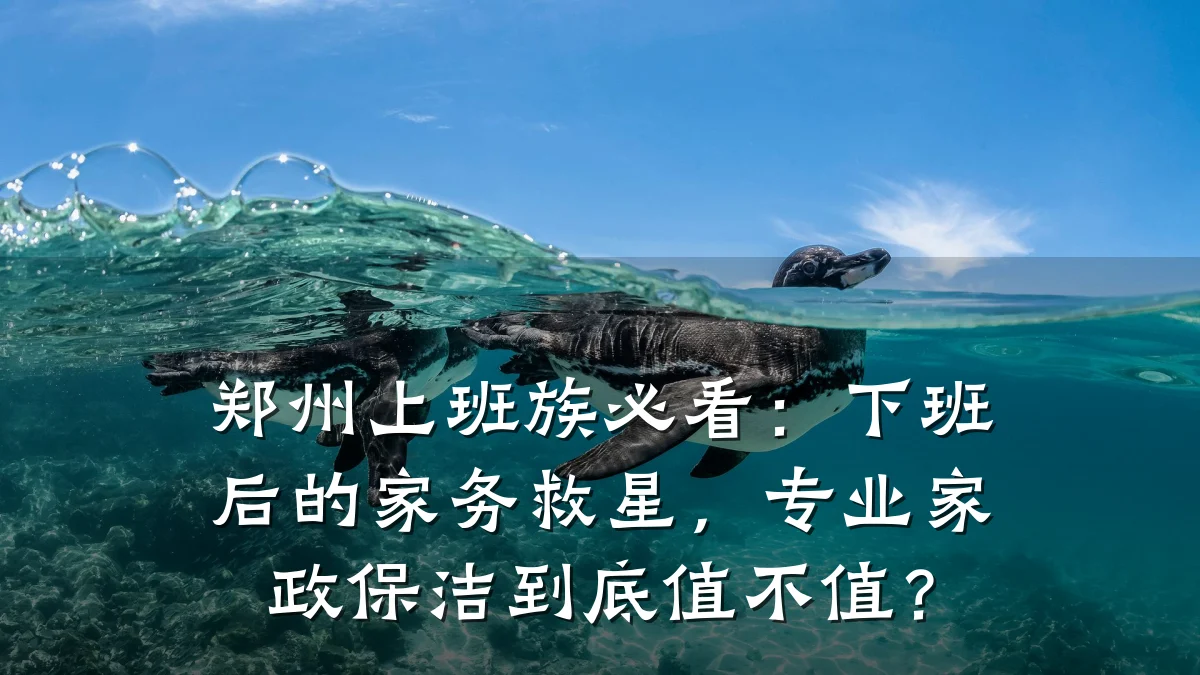 郑州上班族必看:下班后的家务救星,专业家政保洁到底值不值?