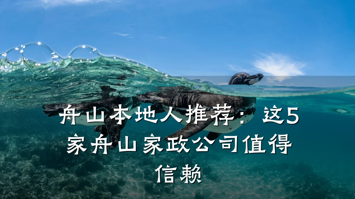 舟山本地人推荐:这5家舟山家政公司值得信赖