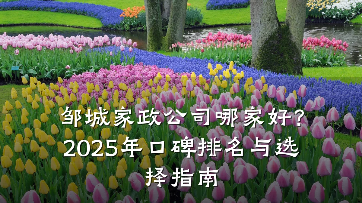 邹城家政公司哪家好？2025年口碑排名与选择指南
