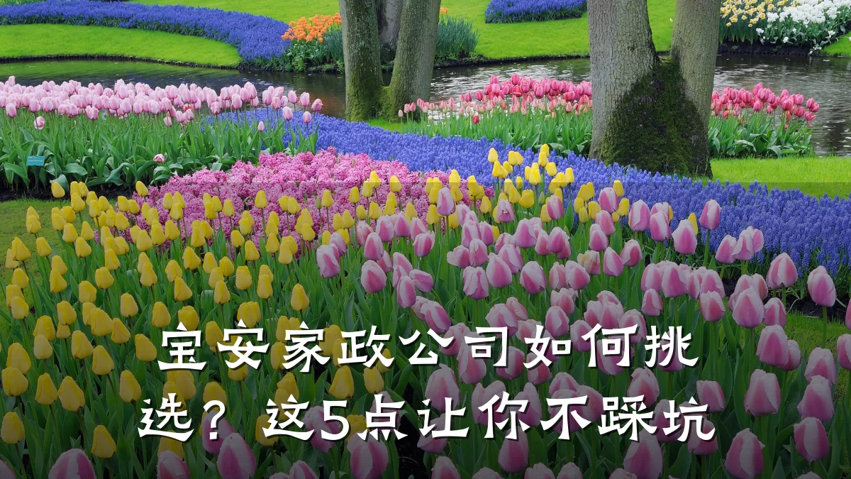 宝安家政公司如何挑选?这5点让你不踩坑