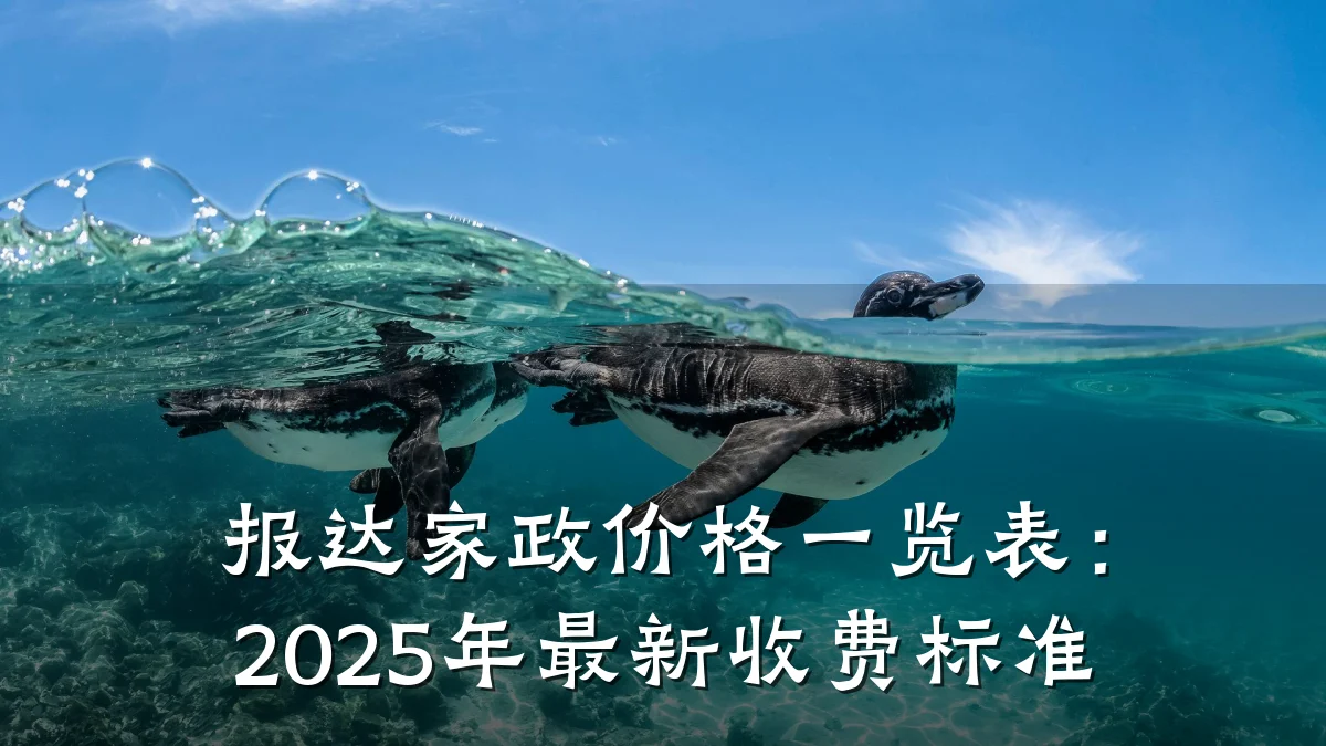 报达家政价格一览表:2025年最新收费标准