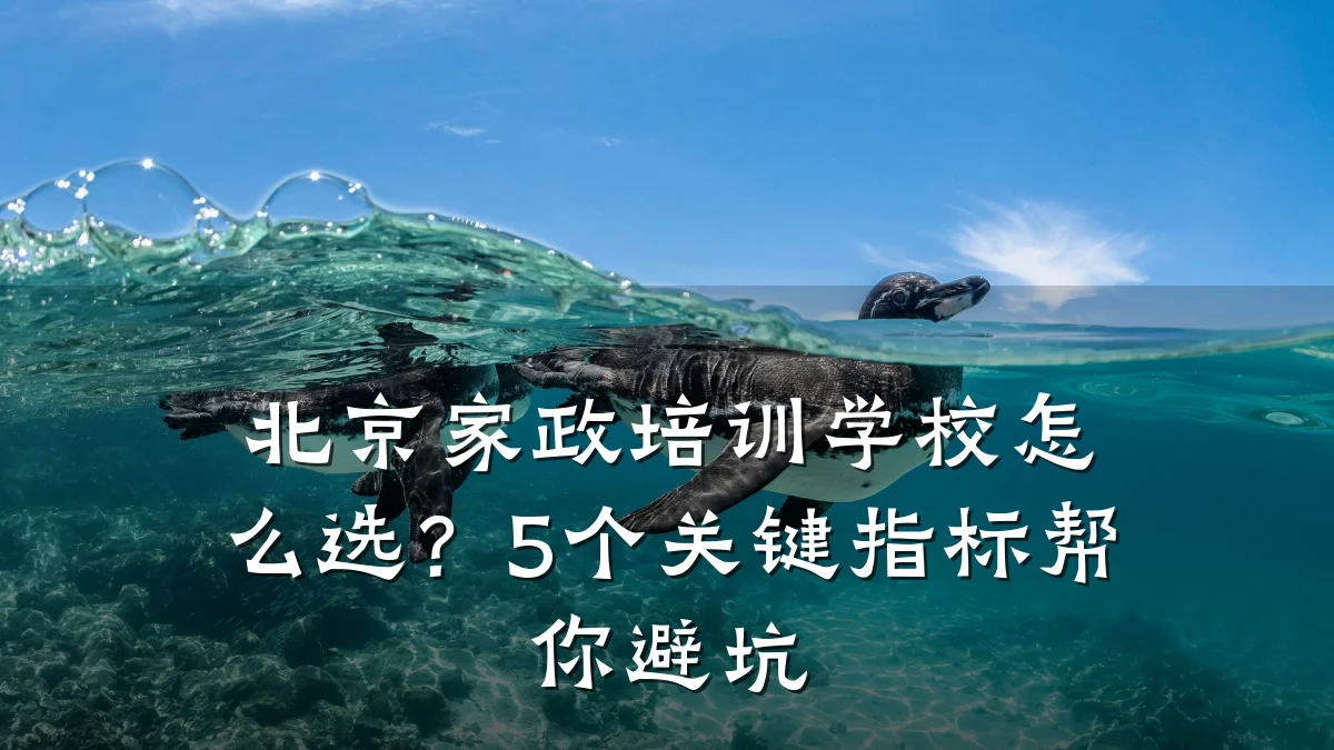 北京家政培训学校怎么选?5个关键指标帮你避坑