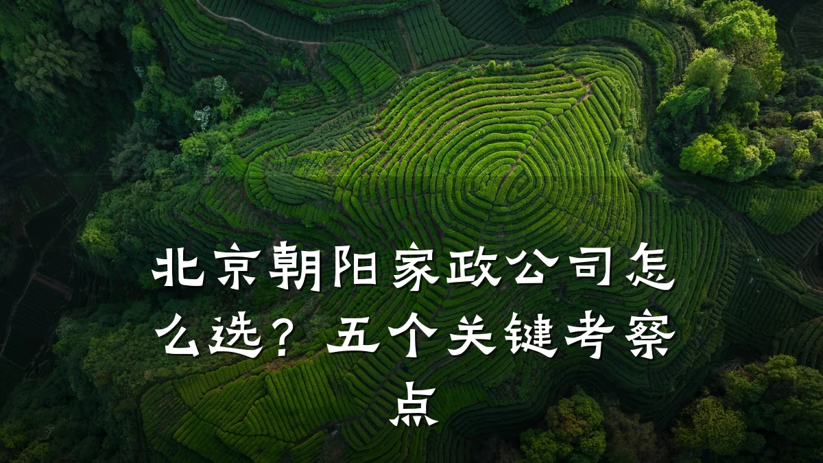 北京朝阳家政公司怎么选？五个关键考察点