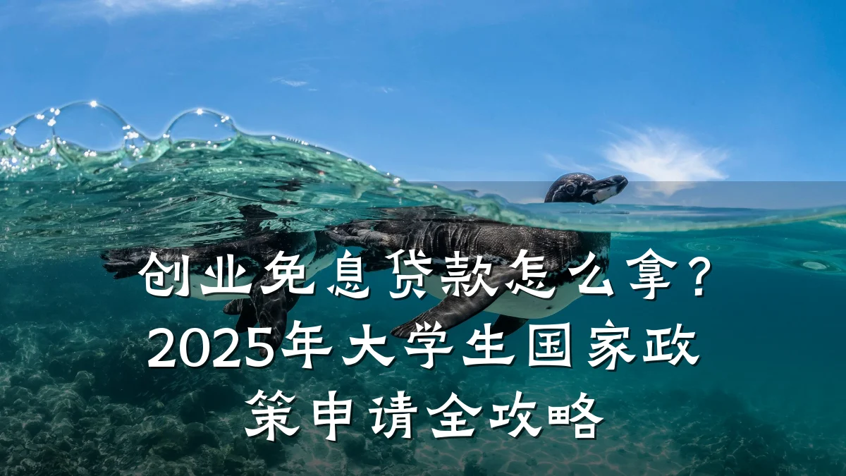 创业免息贷款怎么拿?2025年大学生国家政策申请全攻略